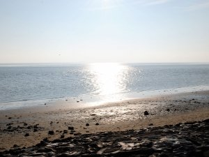 Ab ans Meer